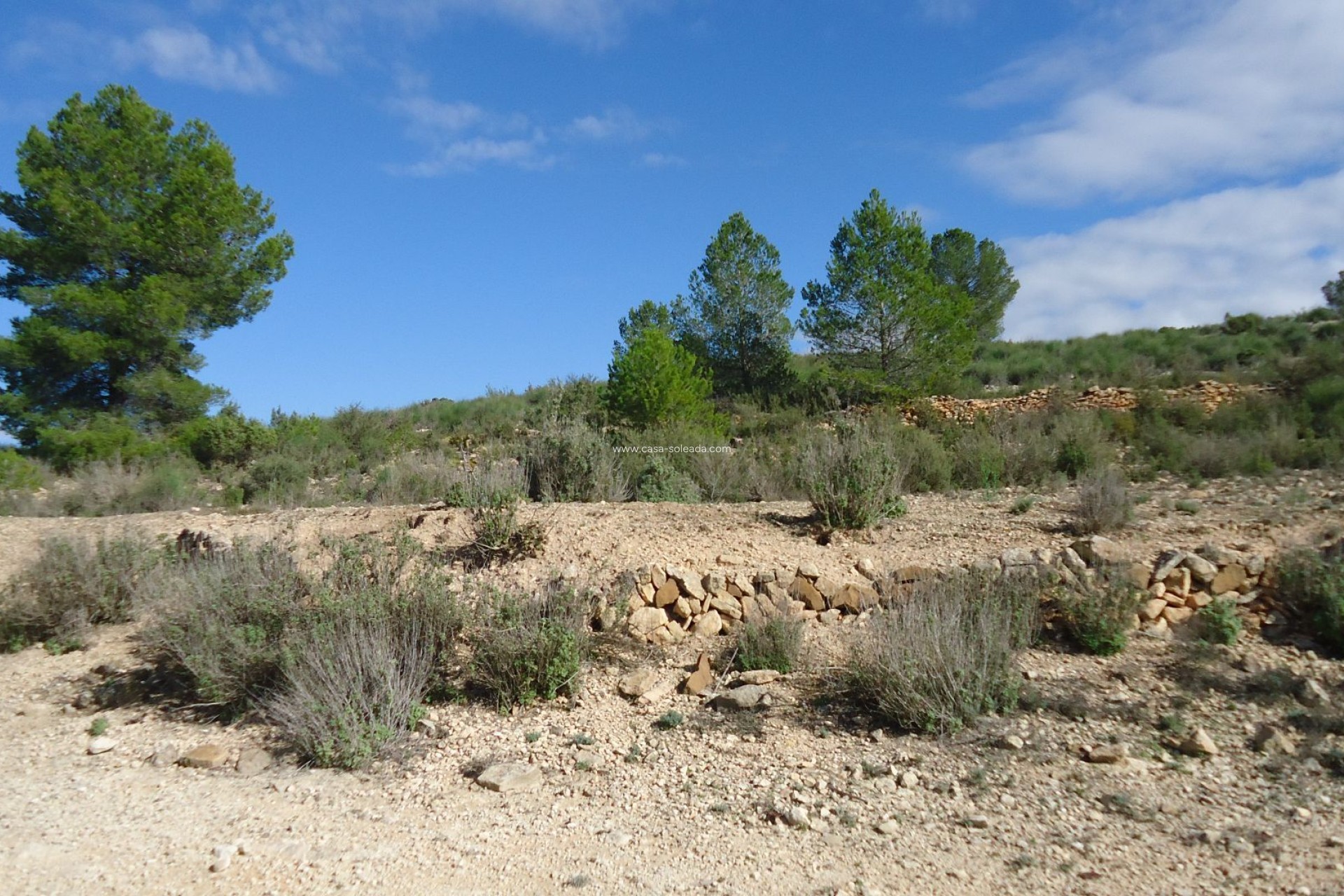 Reventa - Land - Monóvar - Inland