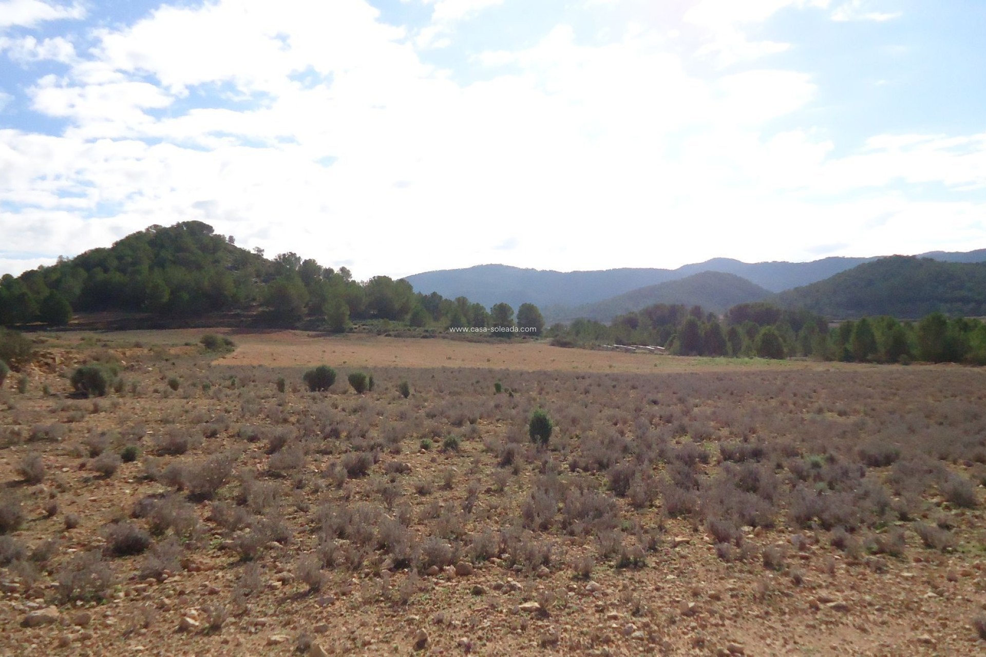 Reventa - Land - Monóvar - Inland