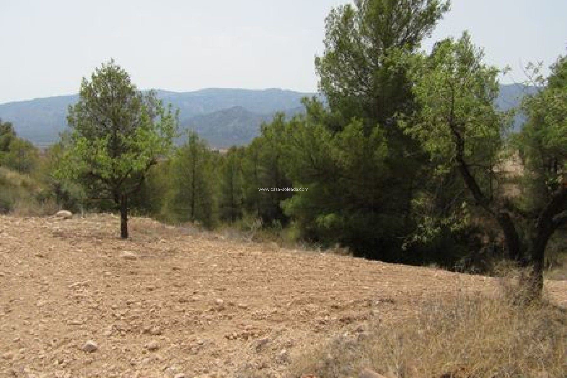 Reventa - Land - Murcia