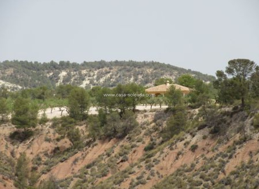 Reventa - Land - Murcia