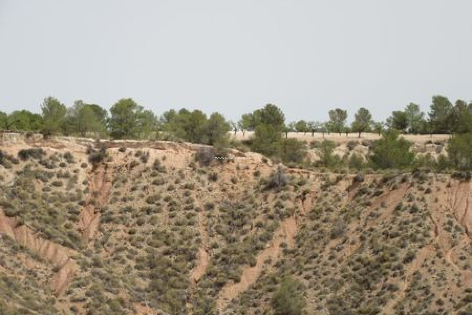 Reventa - Land - Murcia