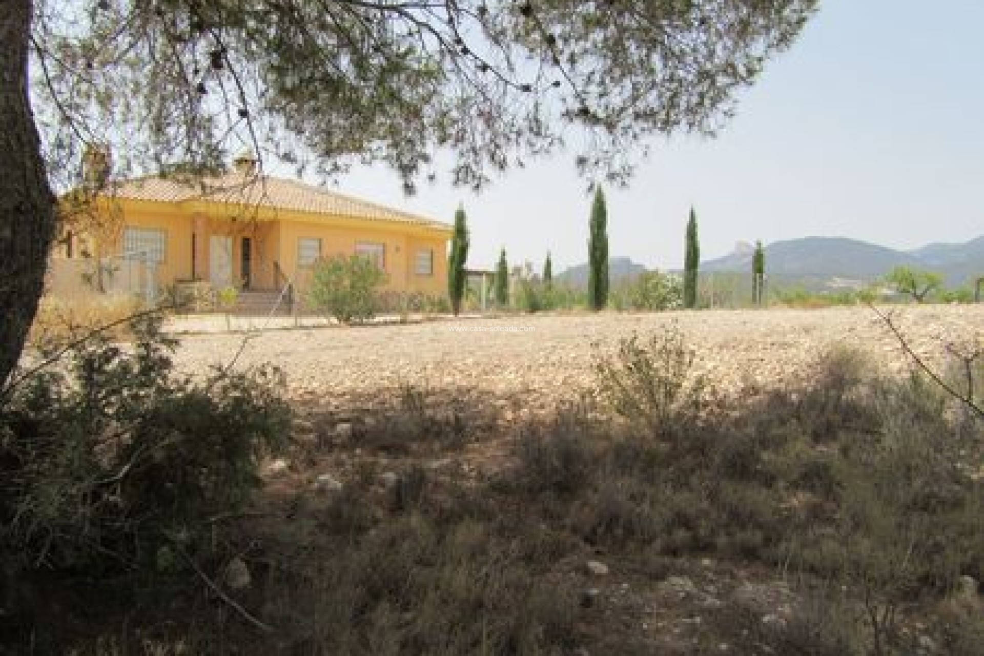 Reventa - Land - Murcia
