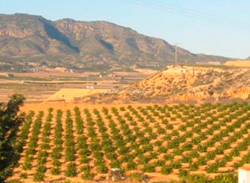 Reventa - Land - Torre Pacheco