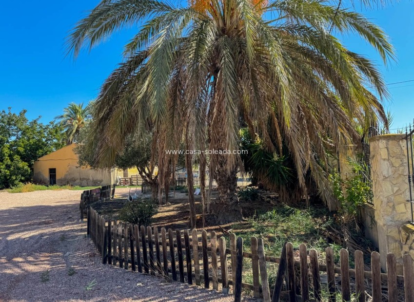 Reventa - Villa - Crevillente - Inland