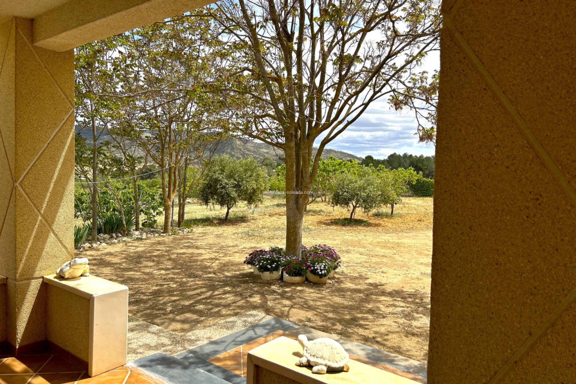 Reventa - Villa - Monóvar - Inland