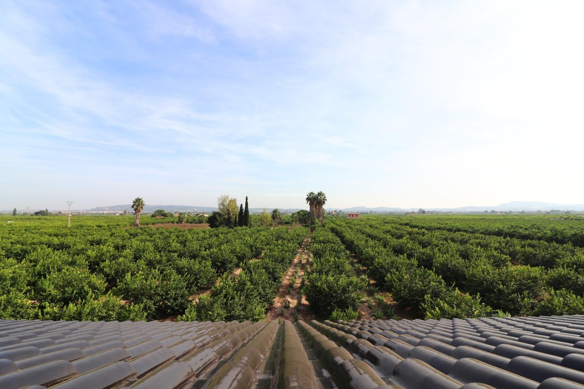 Reventa - Villa - Orihuela - La Campaneta