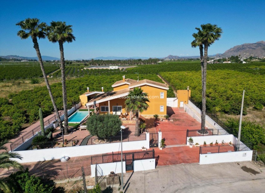 Reventa - Villa - Orihuela - Orihuela Ciudad