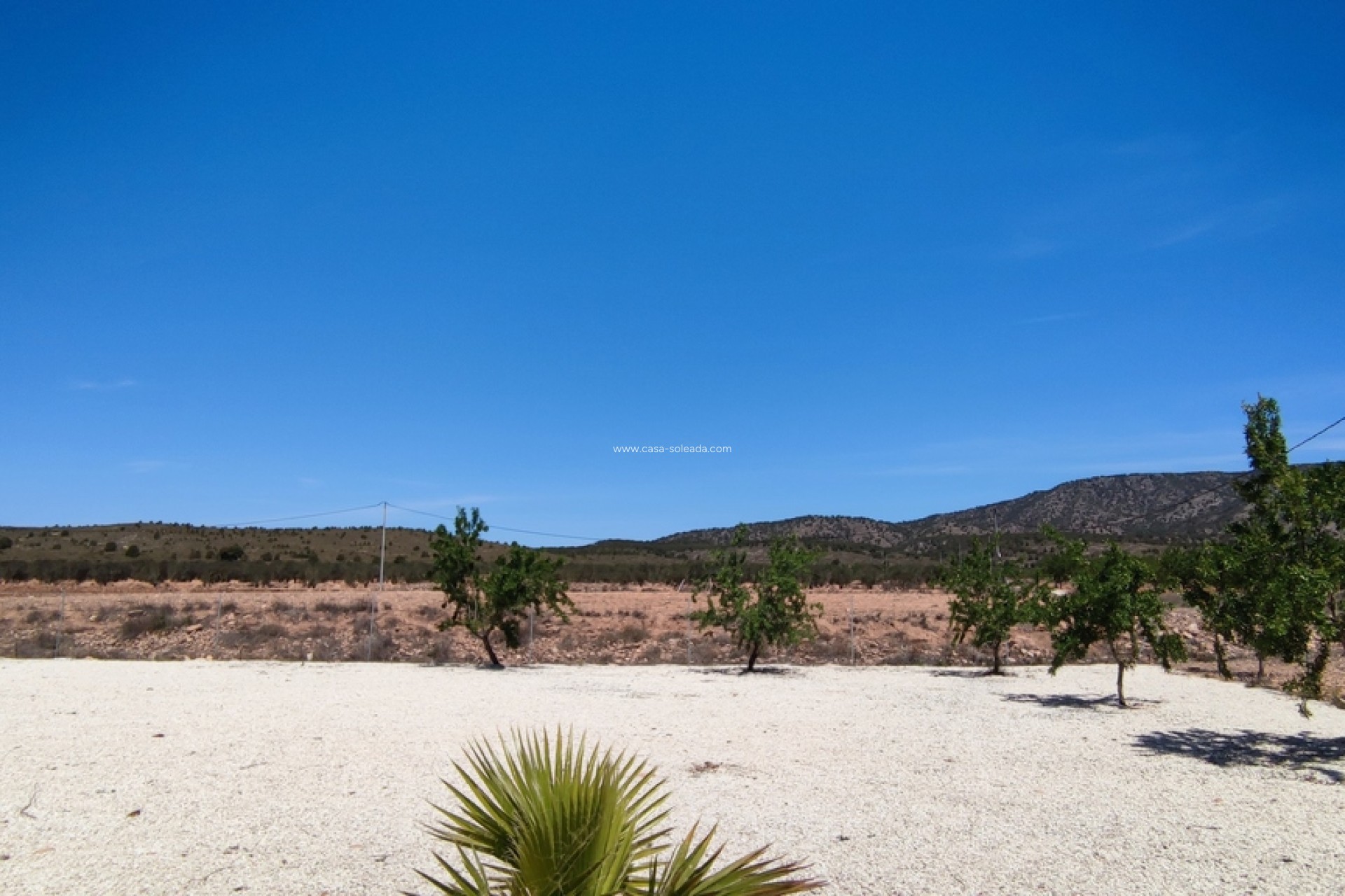 Reventa - Villa - Pinoso - Inland