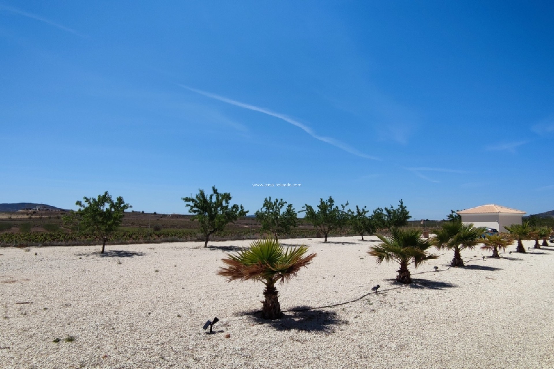 Reventa - Villa - Pinoso - Inland