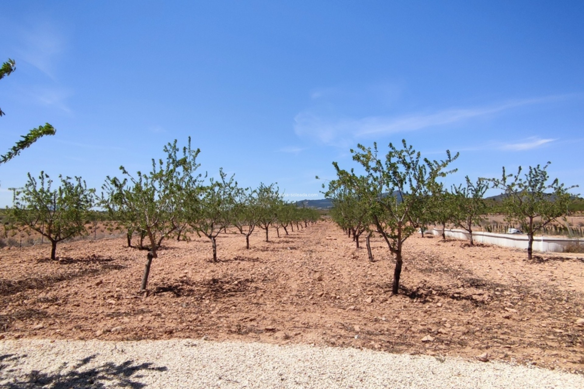 Reventa - Villa - Pinoso - Inland