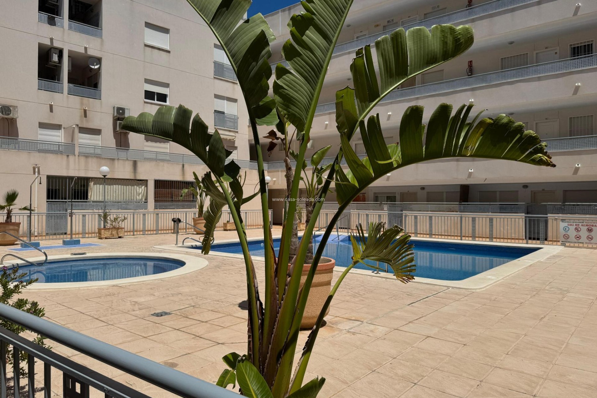 Revente - Appartement - Almoradí - Inland
