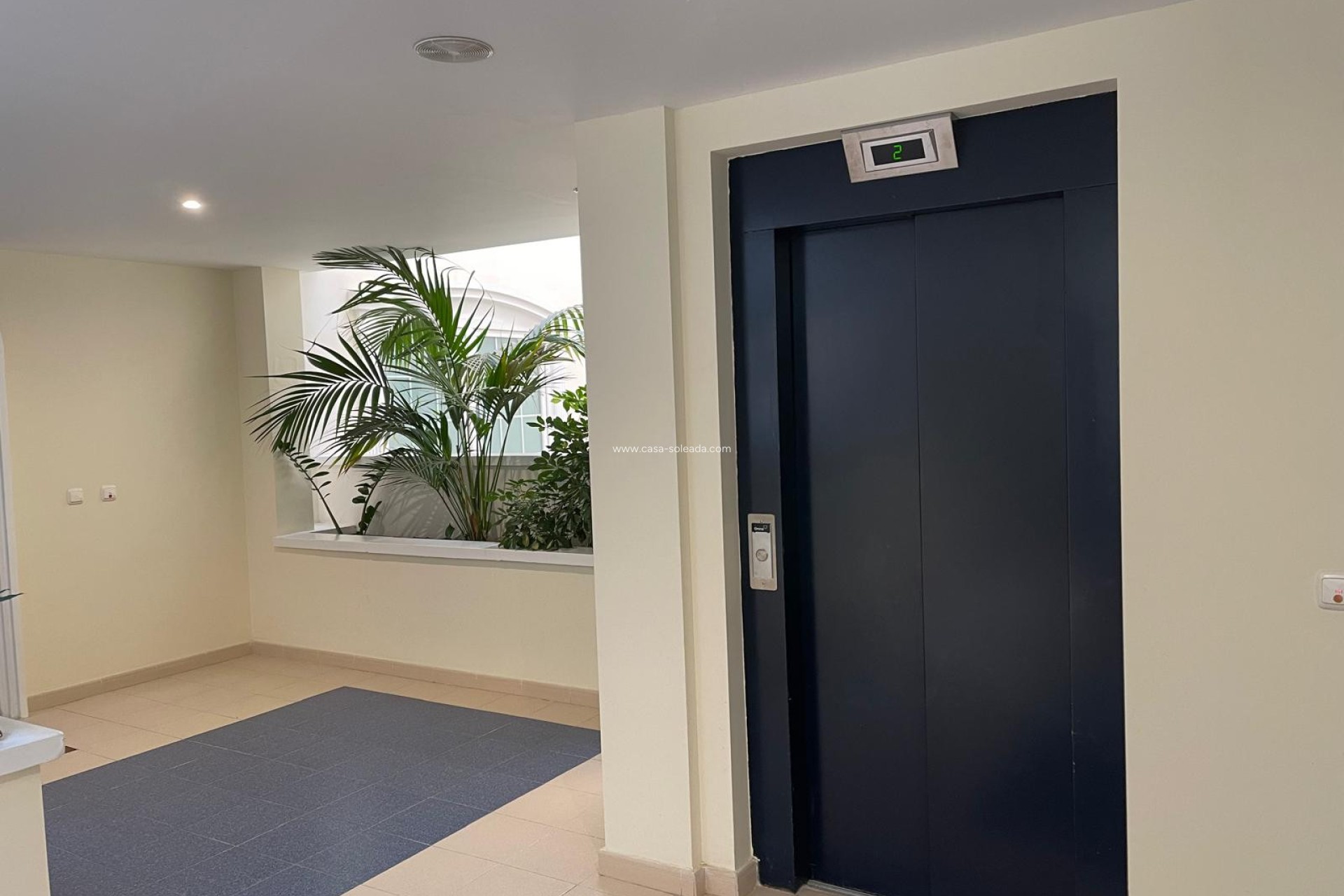 Revente - Appartement - Guardamar del Segura - Costa Blanca