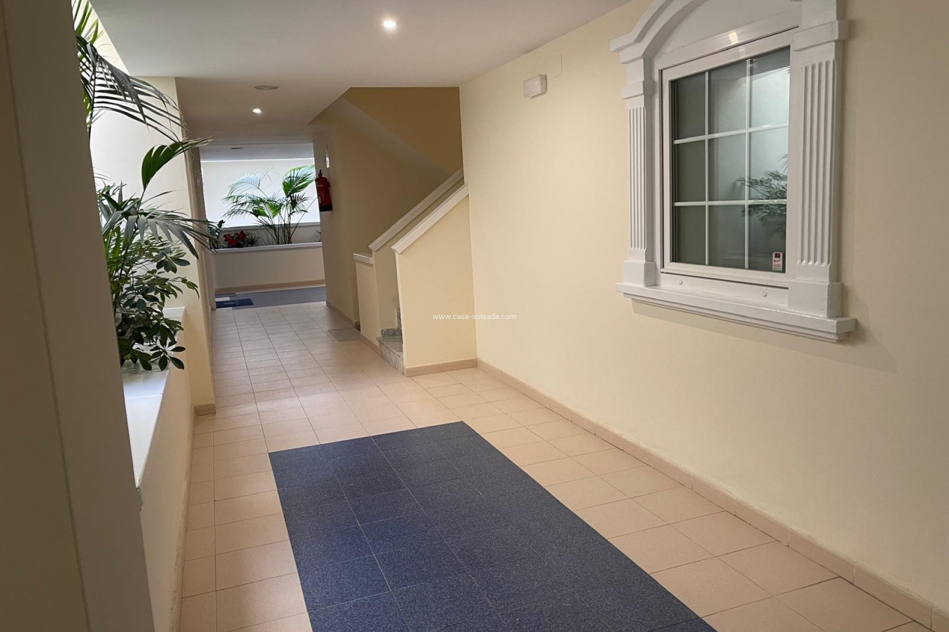 Revente - Appartement - Guardamar del Segura - Costa Blanca