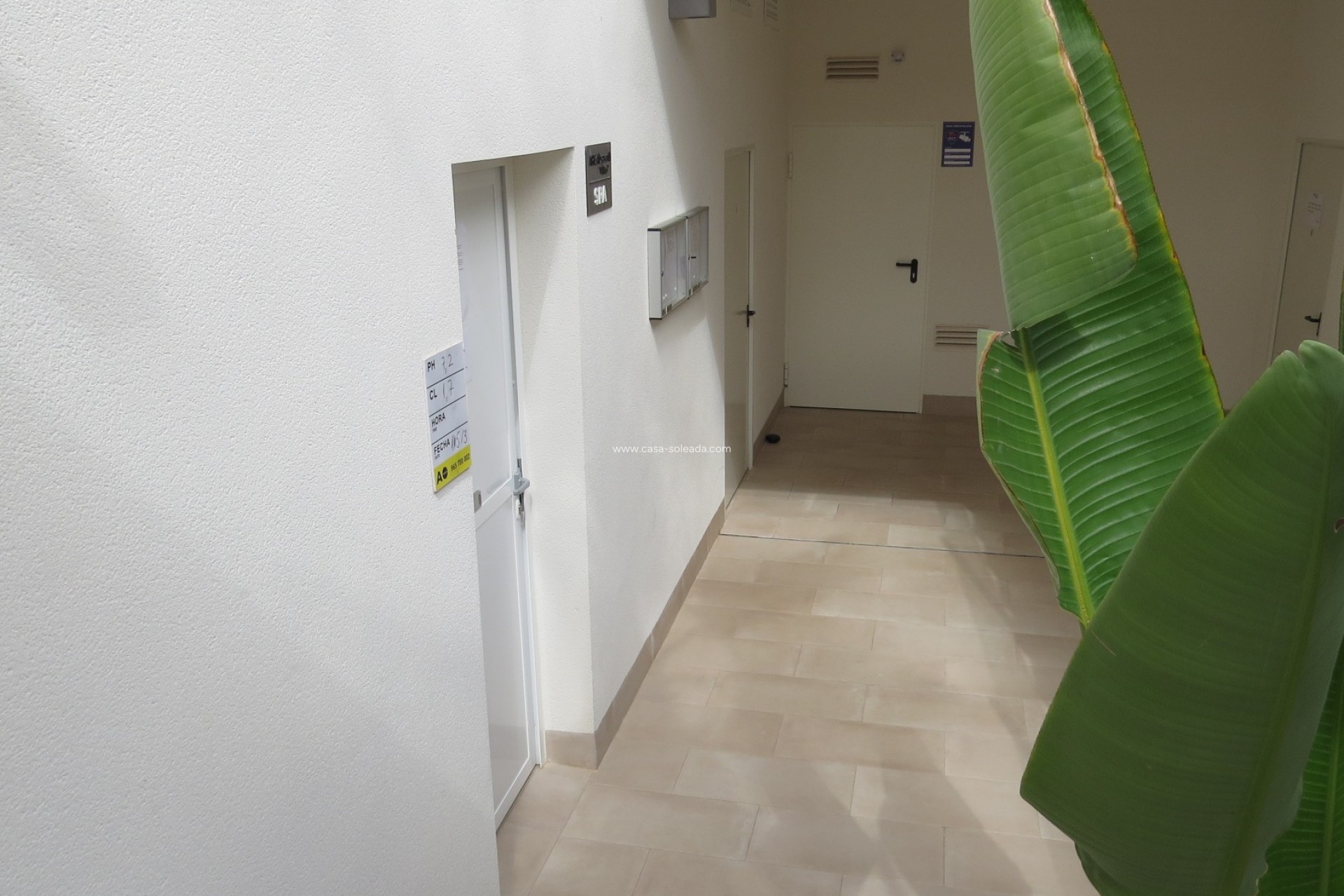 Revente - Appartement - Guardamar del Segura - El Raso
