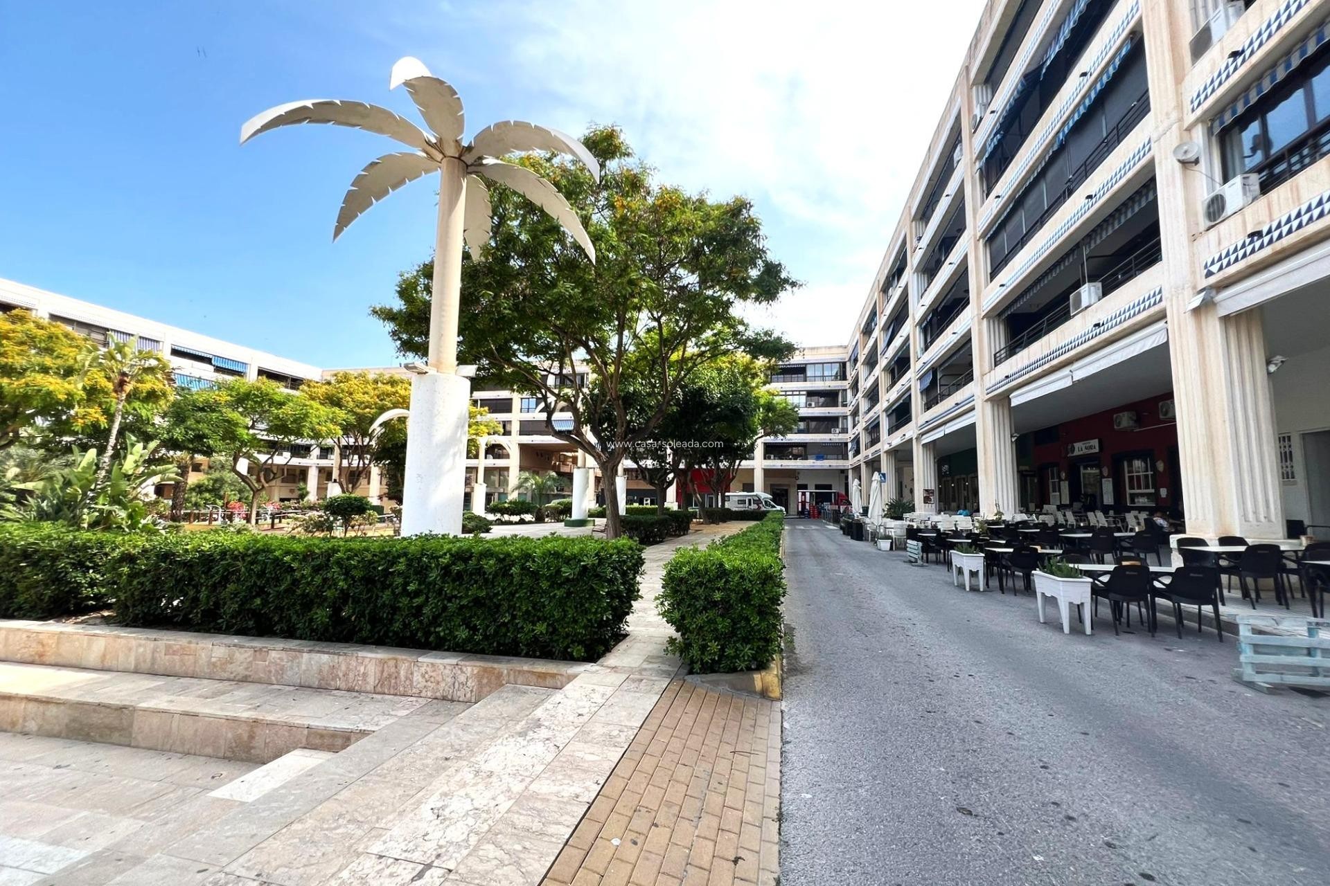 Revente - Appartement - Guardamar del Segura - Pueblo
