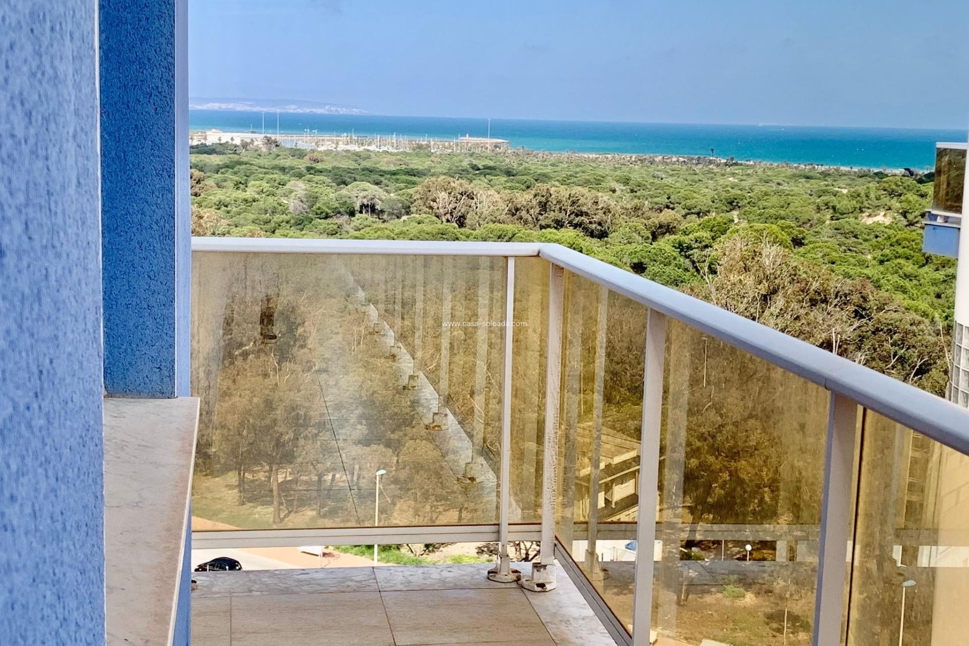 Revente - Appartement - Guardamar del Segura - Puerto