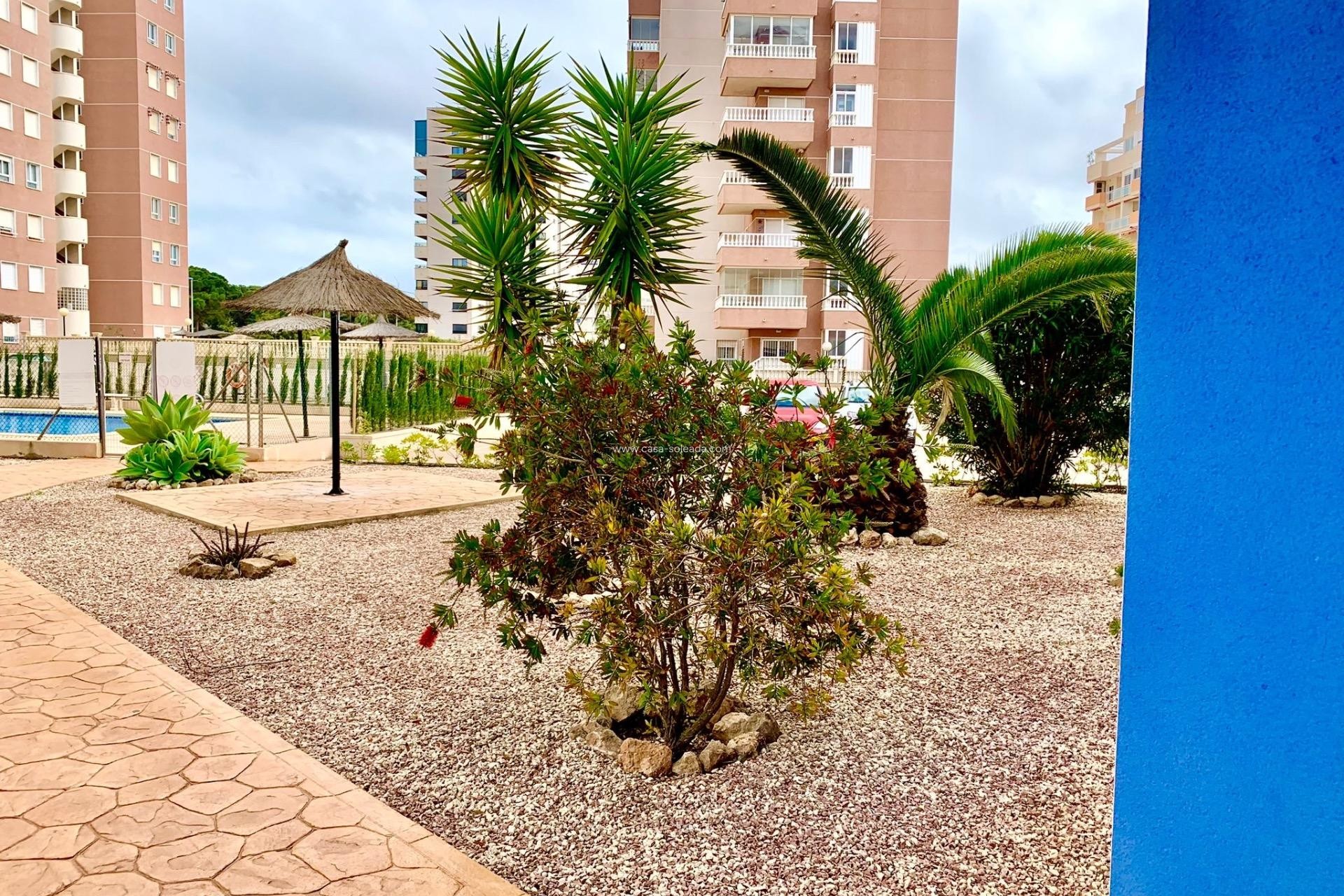Revente - Appartement - Guardamar del Segura - Puerto