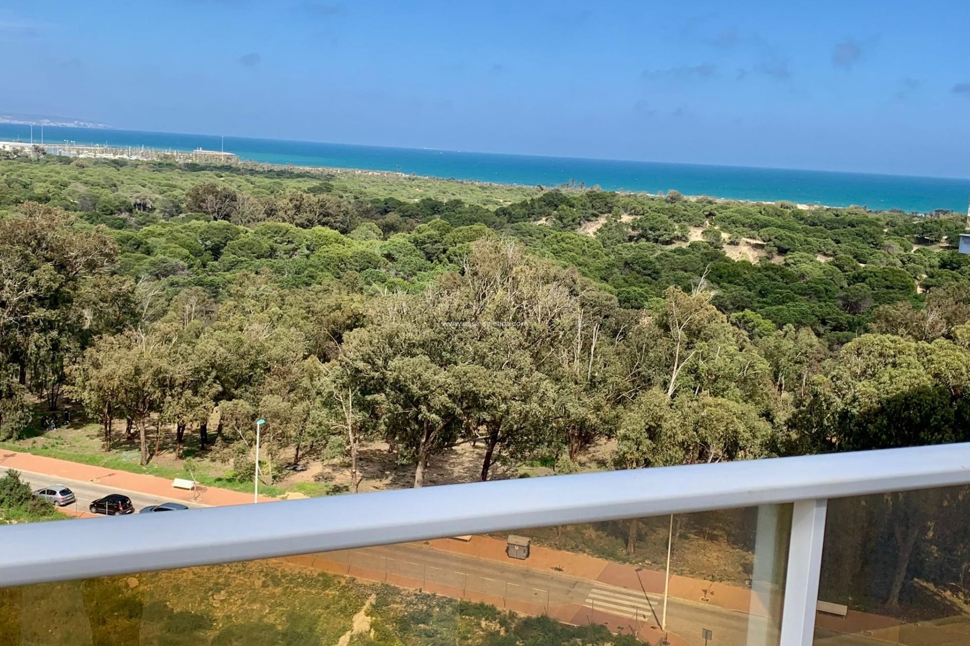 Revente - Appartement - Guardamar del Segura - Puerto