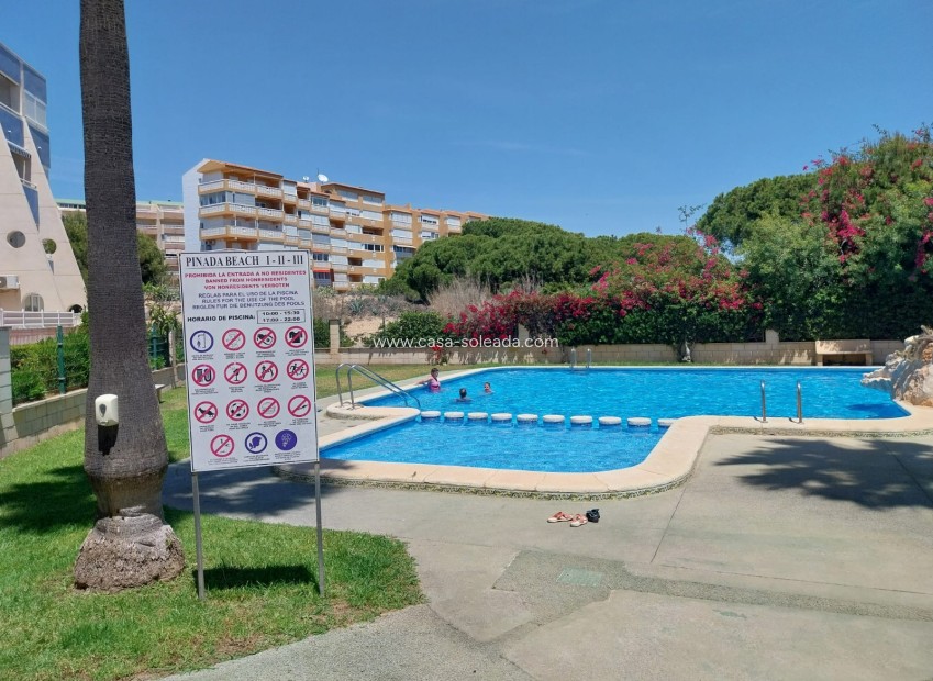 Revente - Appartement - La Mata - Costa Blanca