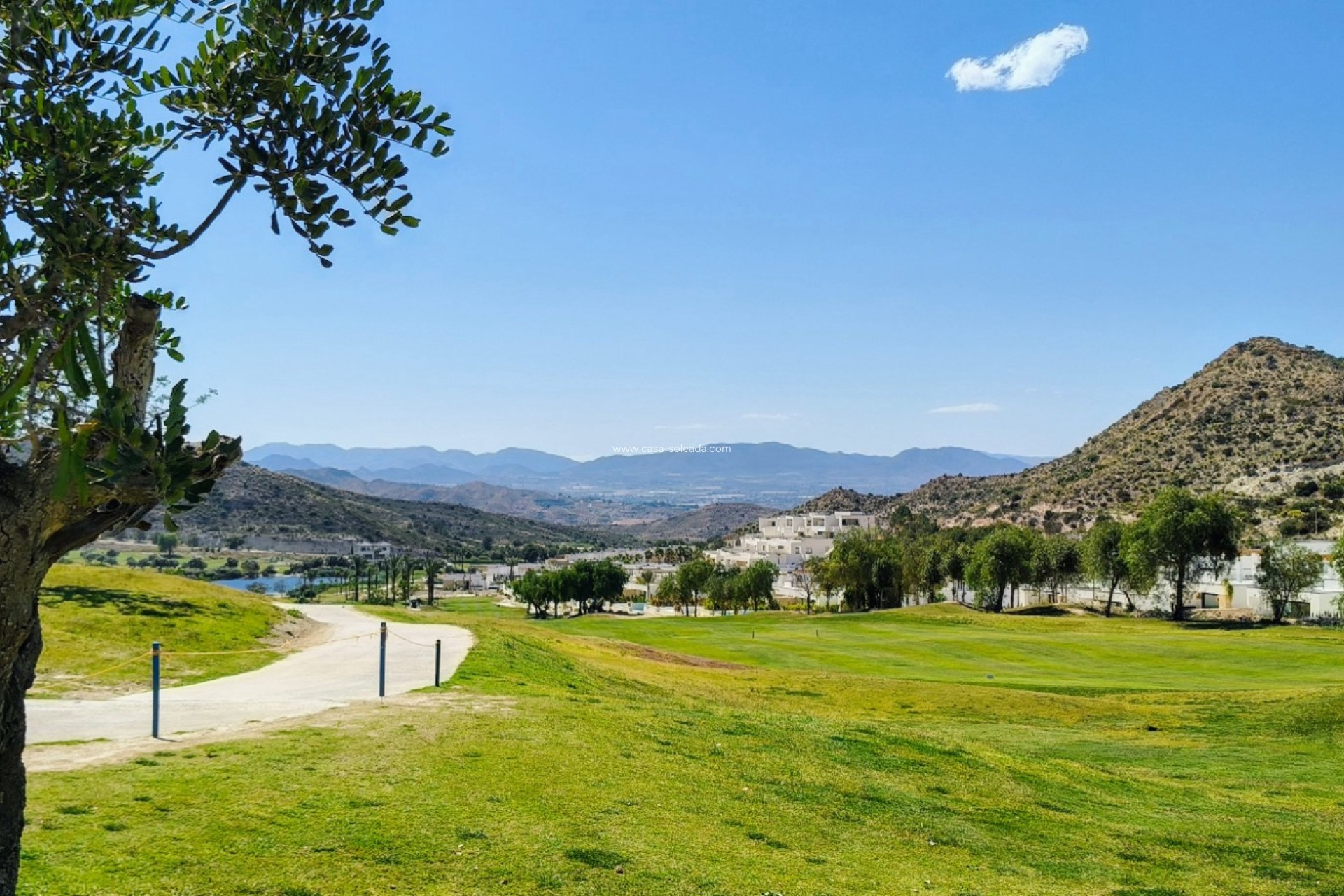 Revente - Appartement - Monforte del Cid - Inland