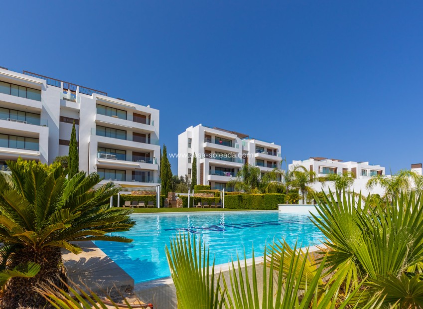 Revente - Appartement - Orihuela - Inland