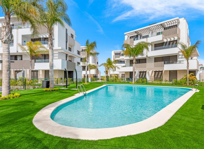 Revente - Appartement - Torre Pacheco - Inland