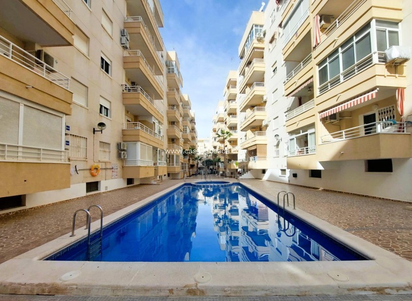 Revente - Appartement - Torrevieja - Center
