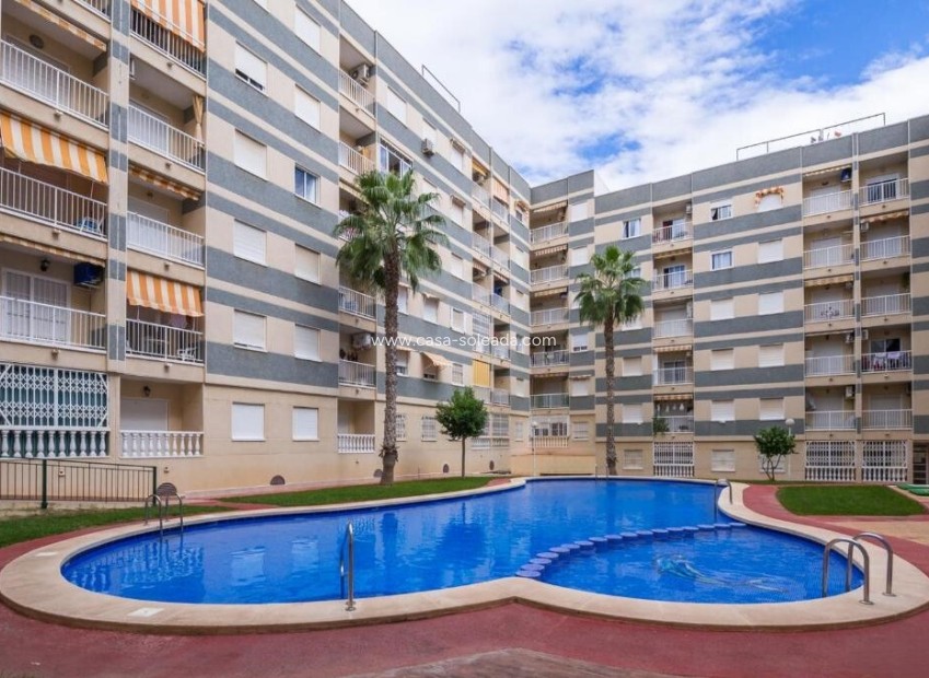 Revente - Appartement - Torrevieja - Center