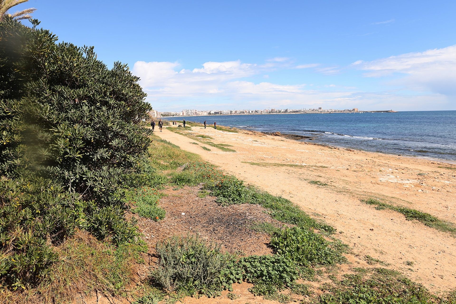 Revente - Appartement - Torrevieja - Costa Blanca