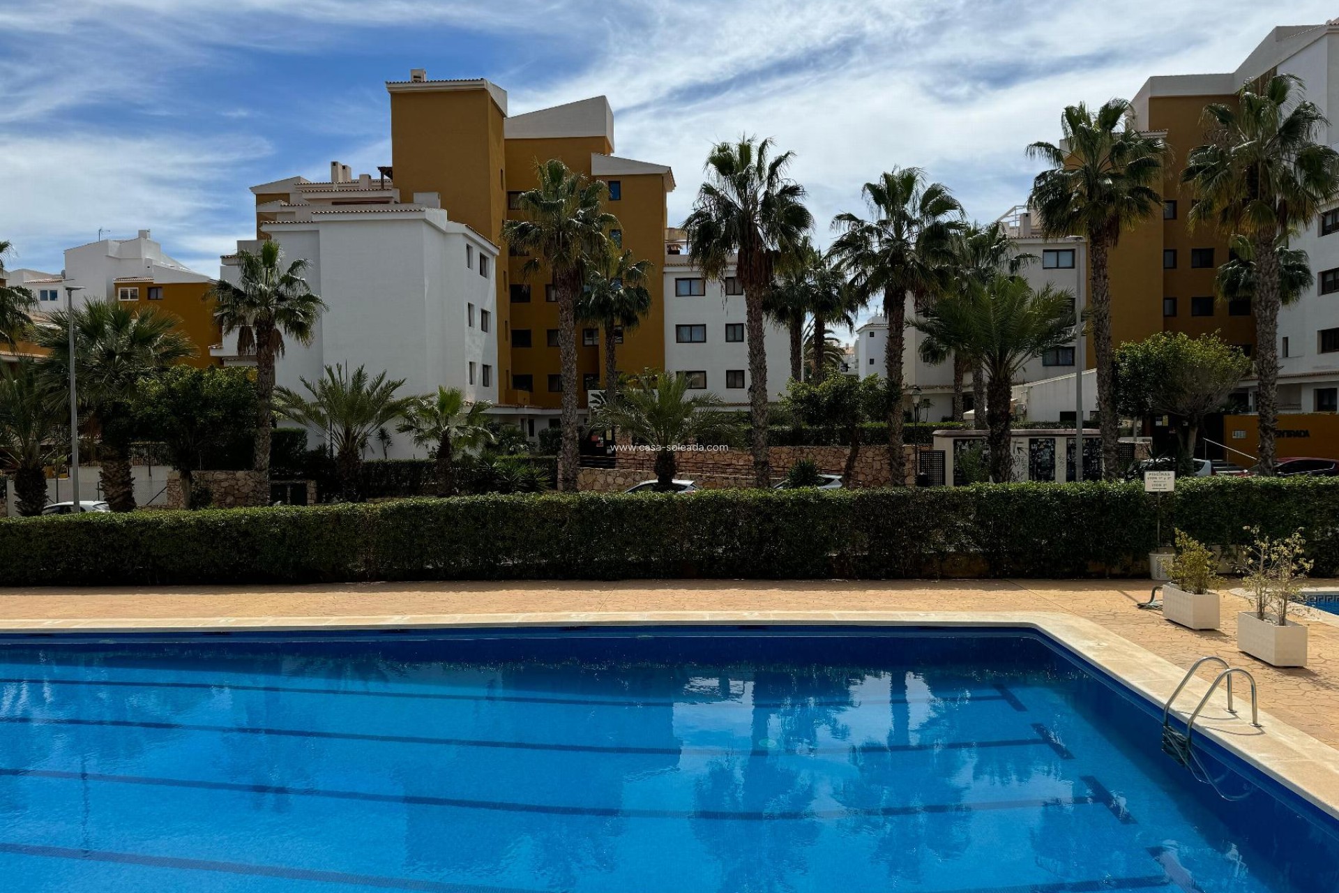 Revente - Appartement - Torrevieja - Costa Blanca