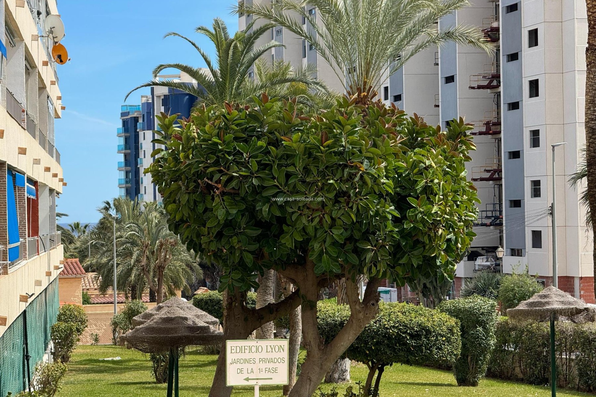 Revente - Appartement - Torrevieja - Costa Blanca