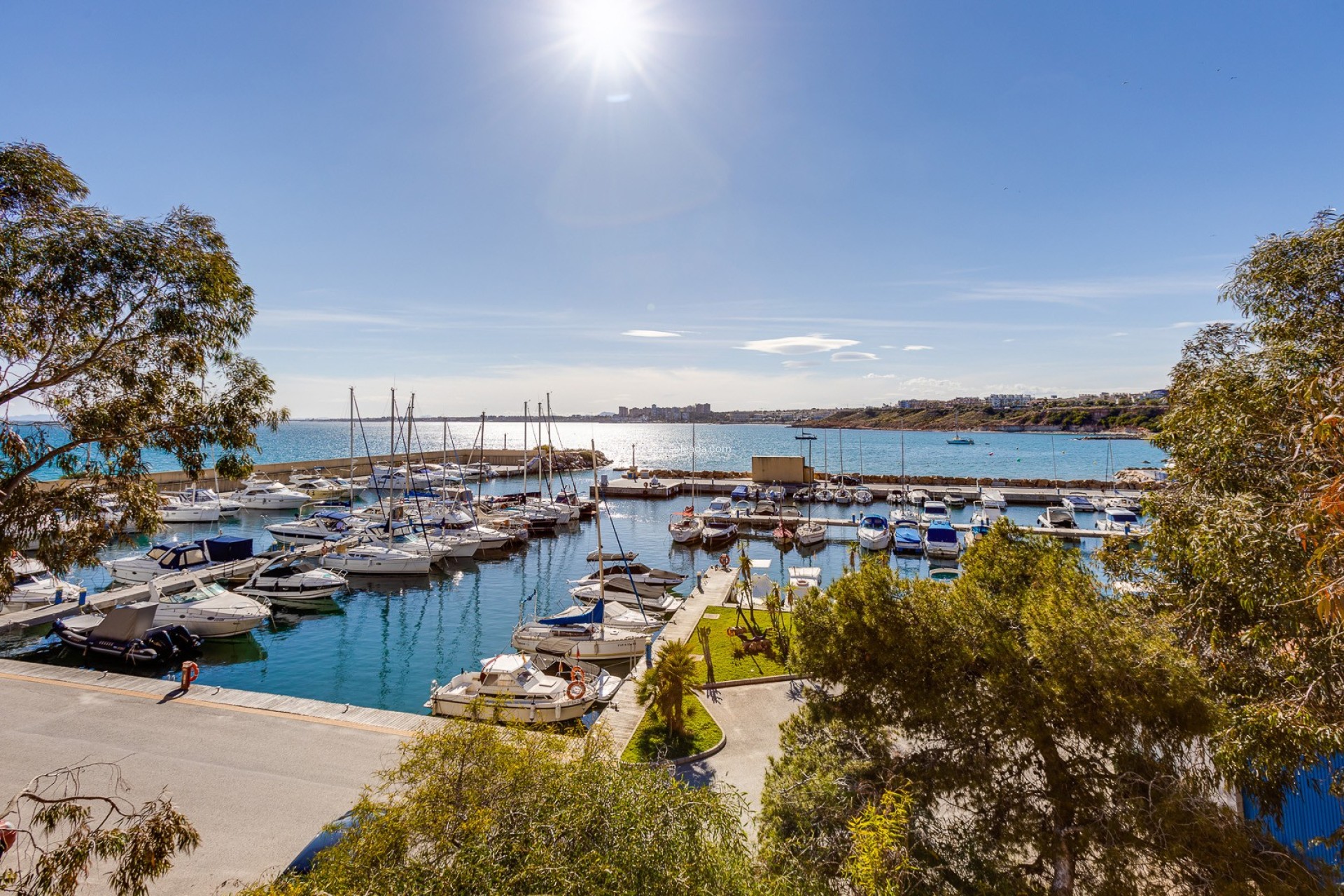Revente - Appartement - Torrevieja - Costa Blanca