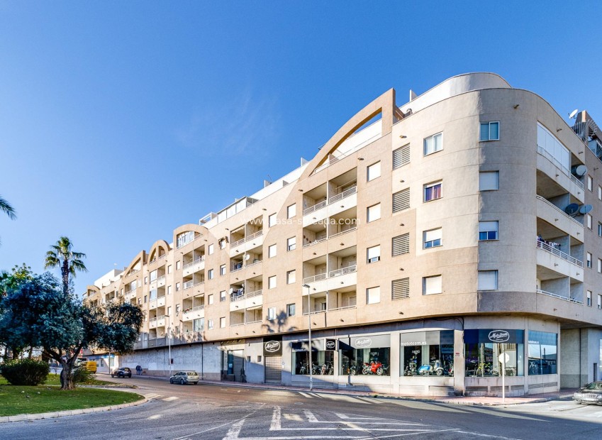 Revente - Appartement - Torrevieja - Costa Blanca