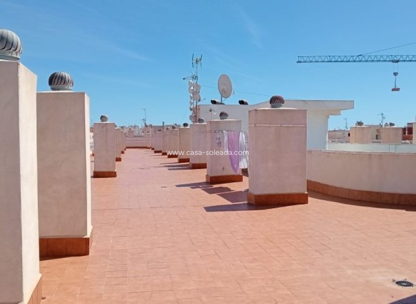 Revente - Appartement - Torrevieja - Costa Blanca