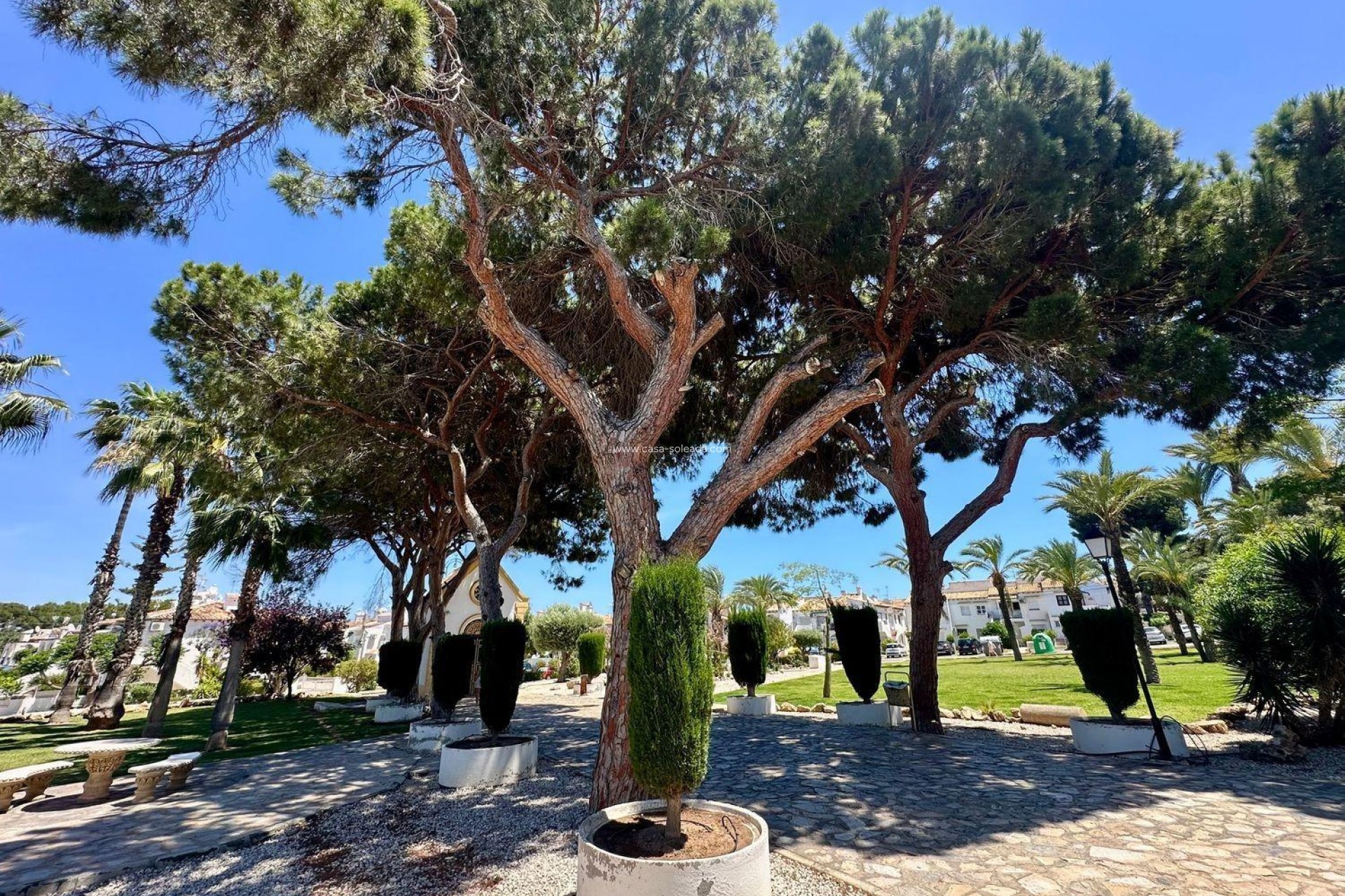 Revente - Appartement - Torrevieja - Los Balcones