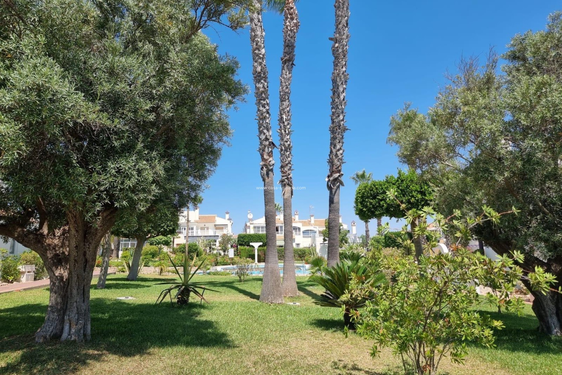 Revente - Appartement - Torrevieja - Los Balcones