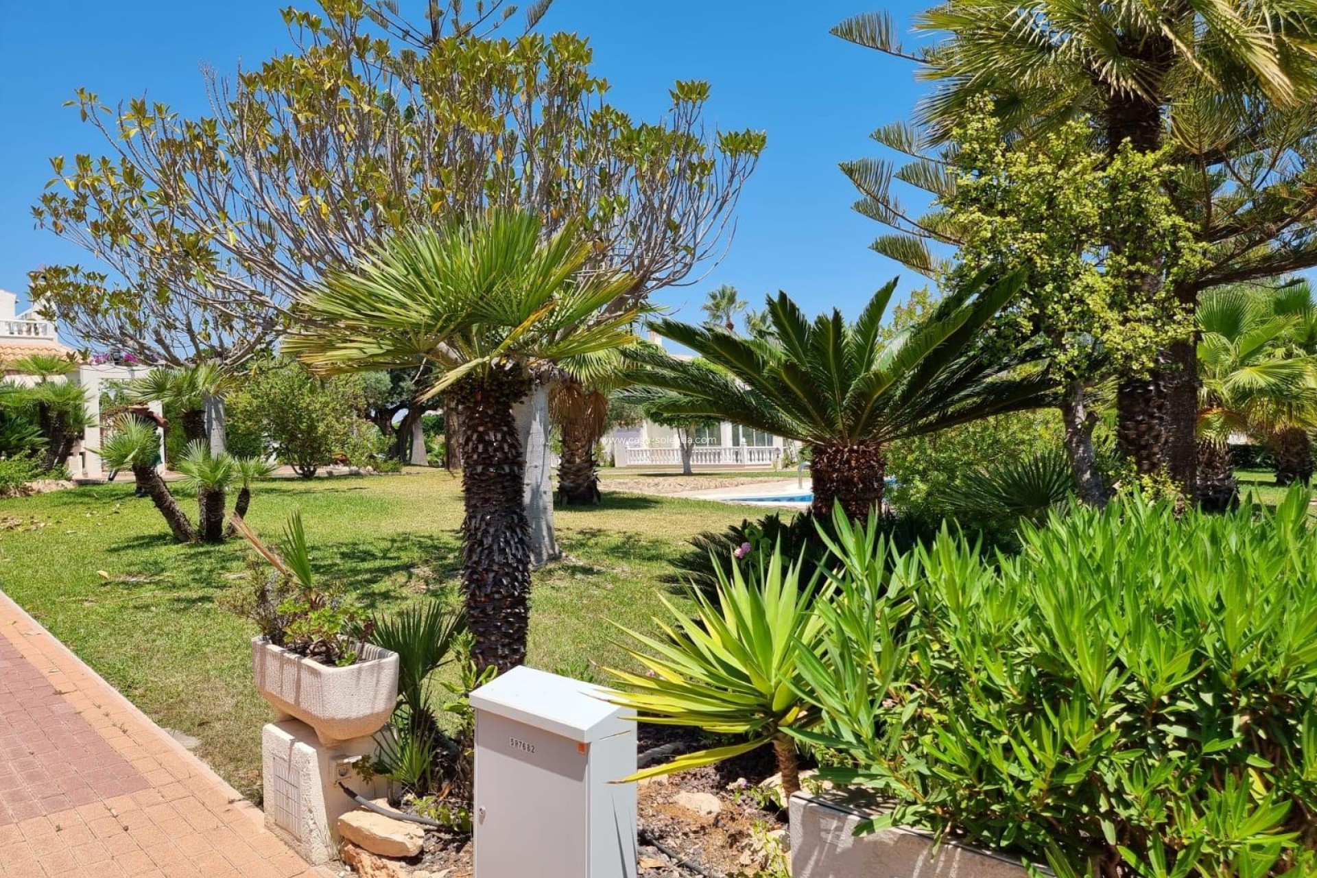 Revente - Appartement - Torrevieja - Los Balcones