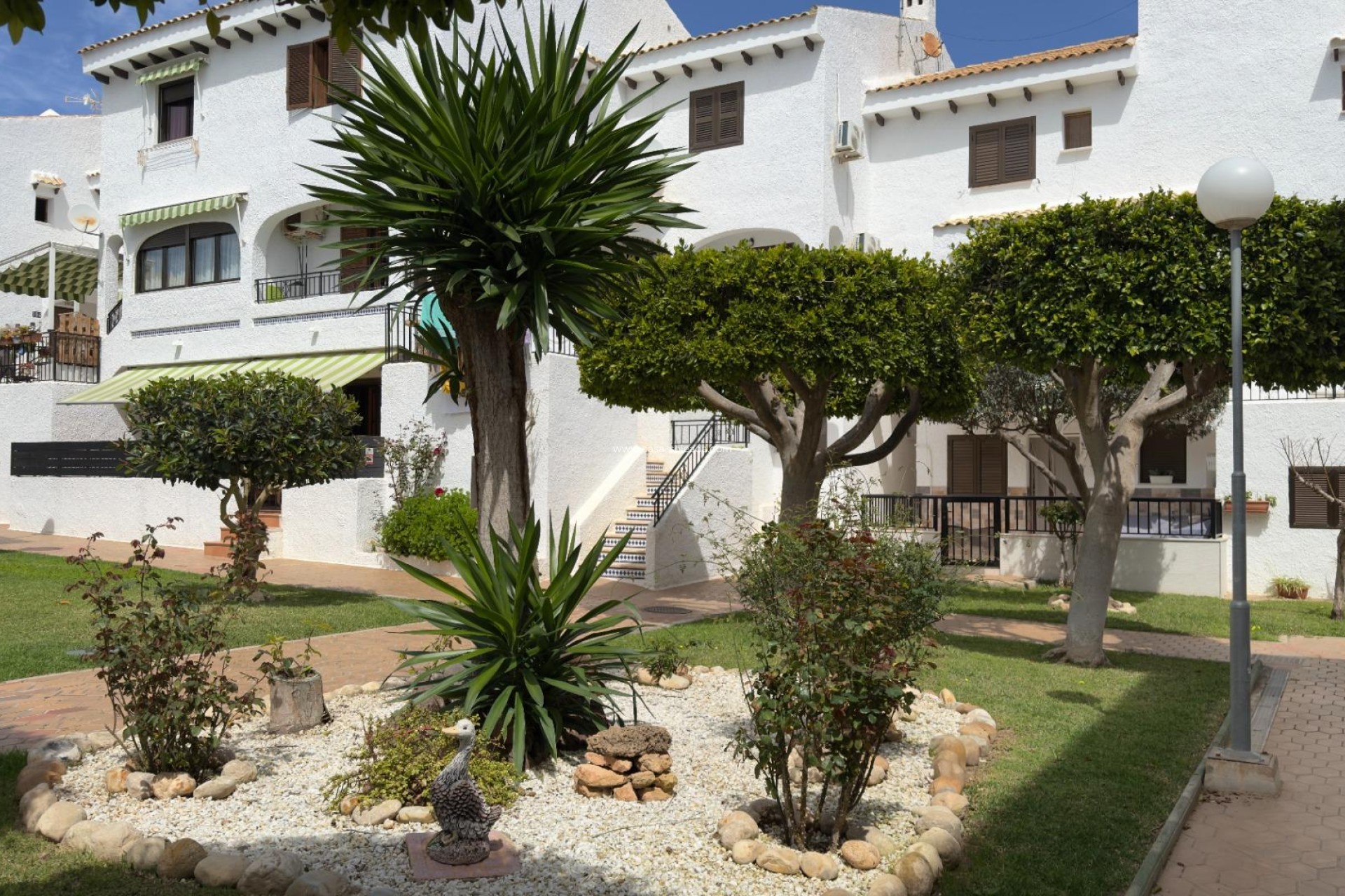 Revente - Bungalow - Orihuela Costa - Playa Flamenca