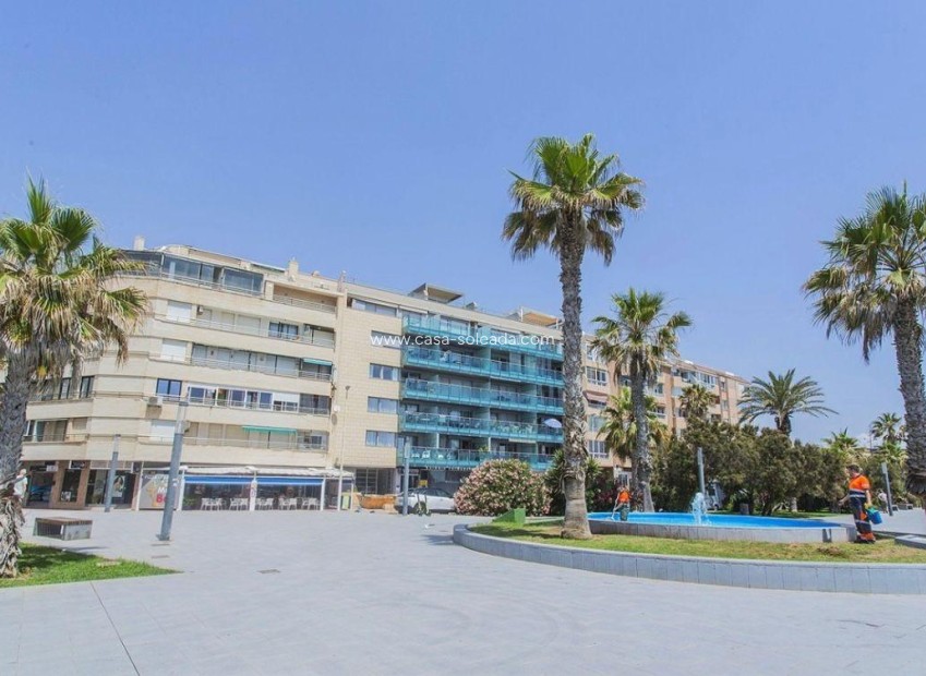 Revente - Commercial - Torrevieja - Playa del Cura