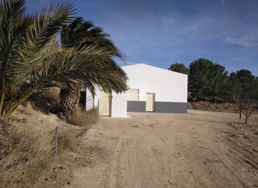 Revente - Commercial - Yecla - Inland