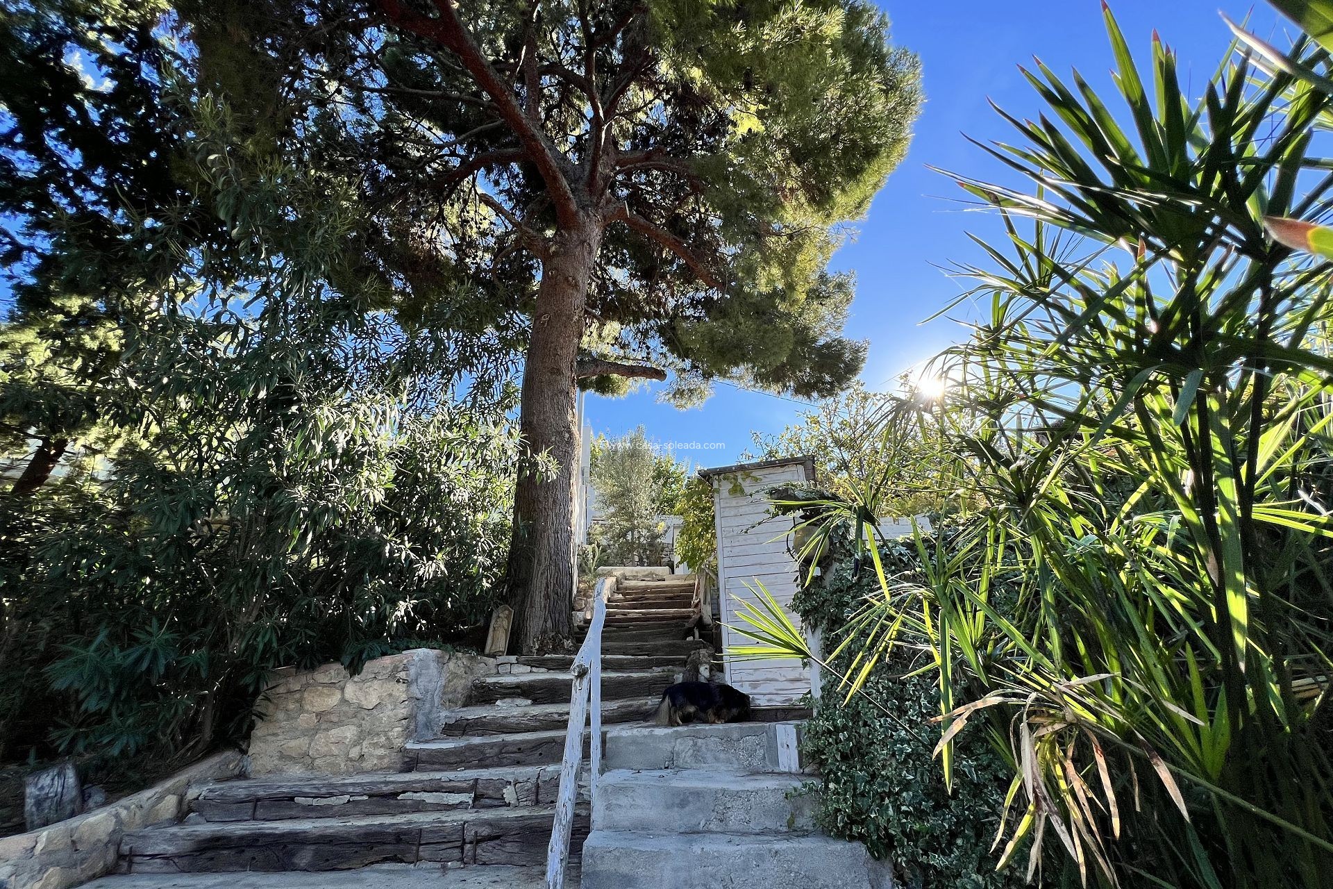 Revente - Country Property/Finca - Altea - Costa Blanca