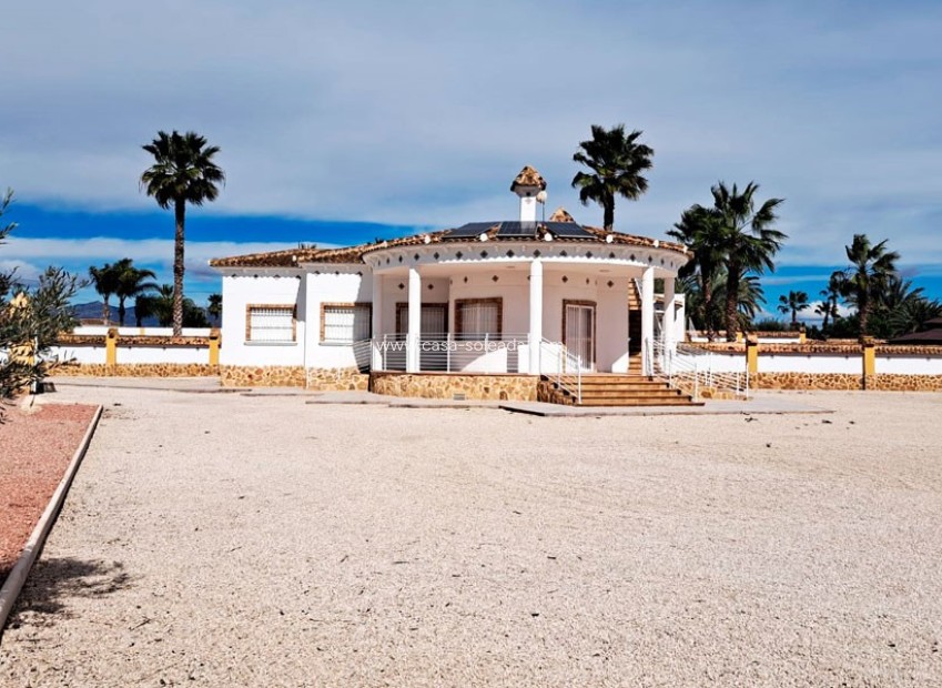 Revente - Country Property/Finca - Catral - Catral - Country