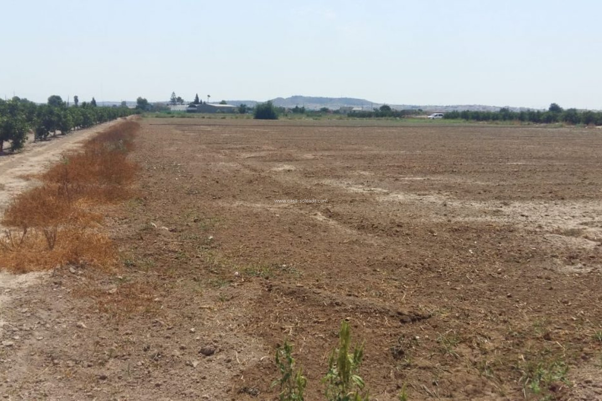 Revente - Country Property/Finca - Daya Nueva - Costa Blanca