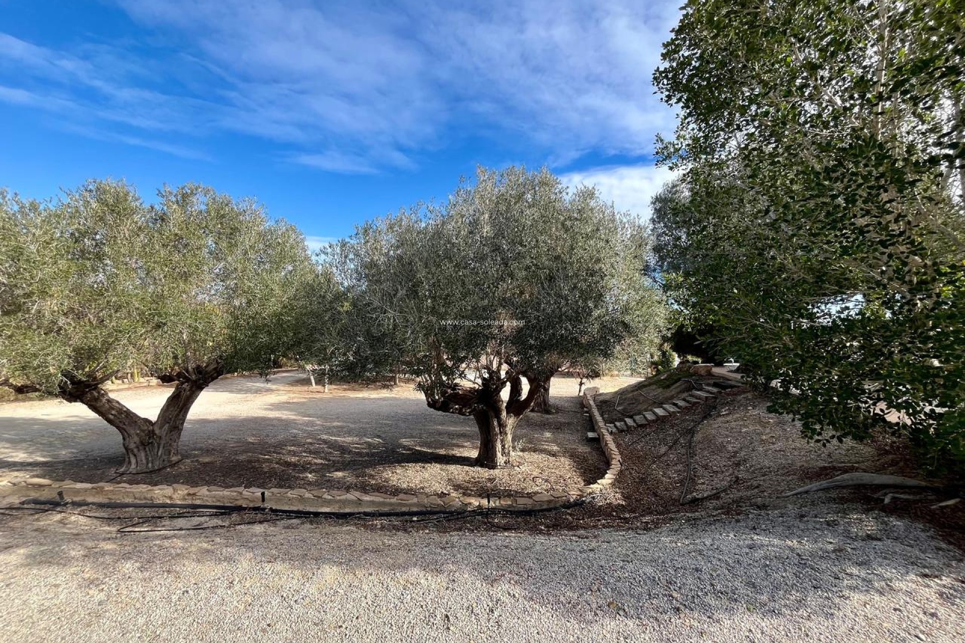 Revente - Country Property/Finca - El Esparragal