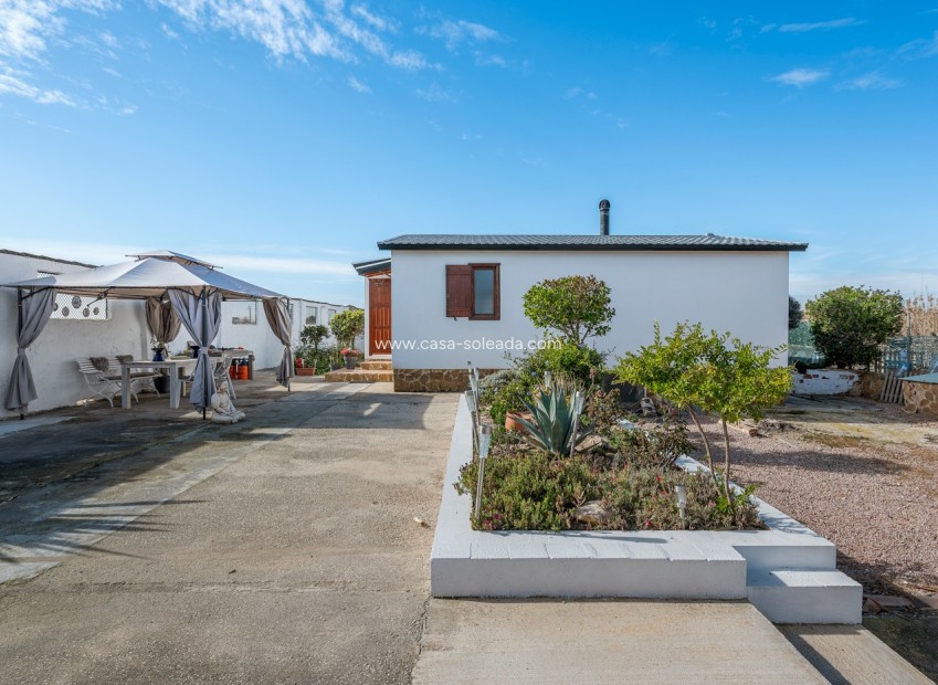 Revente - Country Property/Finca - Elche - Daimés