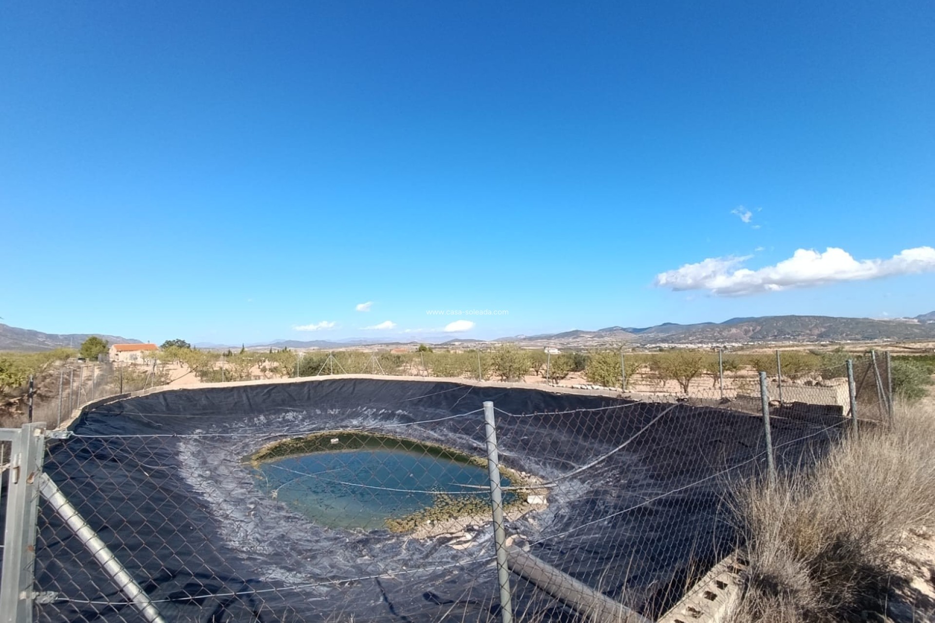 Revente - Country Property/Finca - Jumilla - Inland