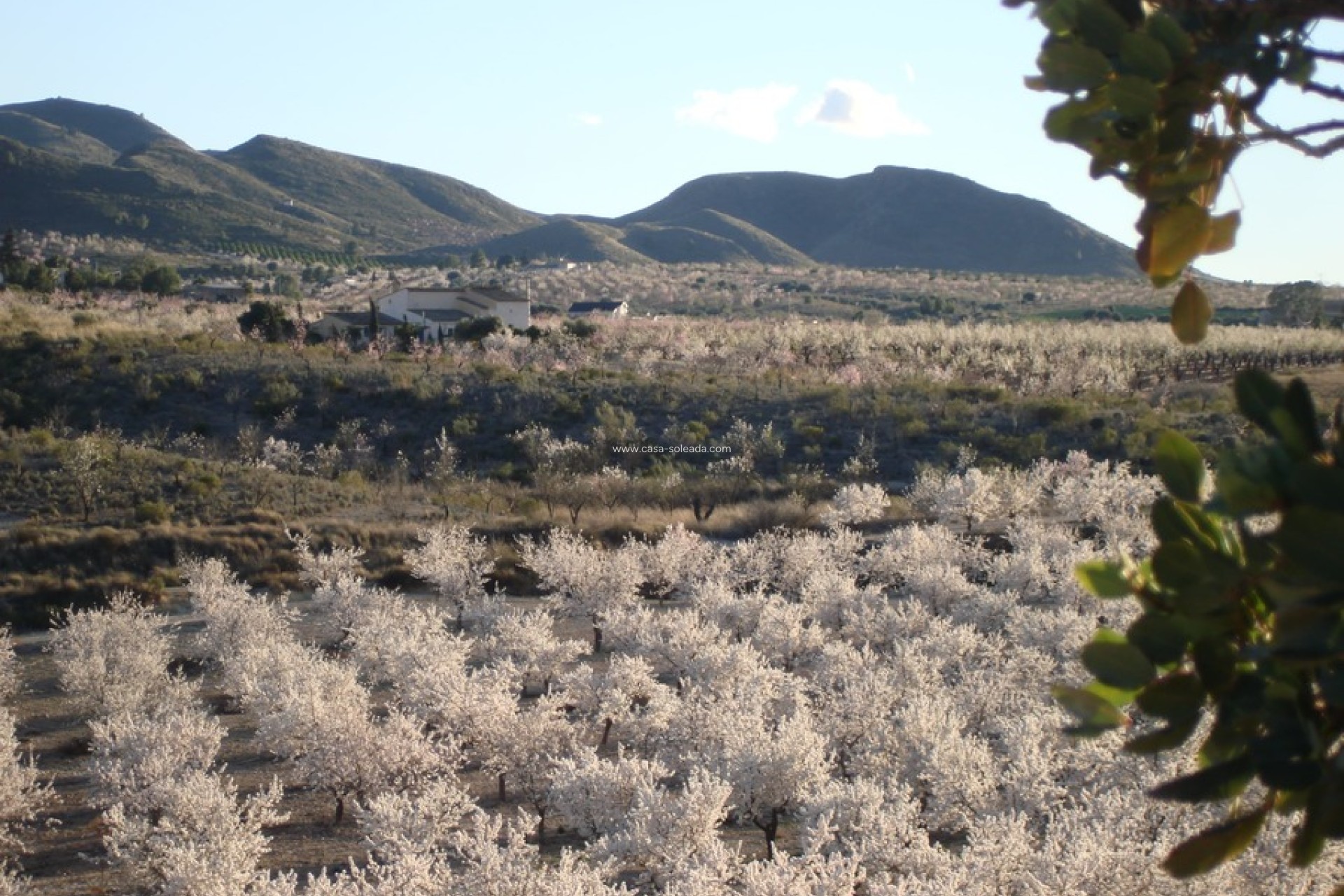 Revente - Country Property/Finca - Lorca - Costa Calida