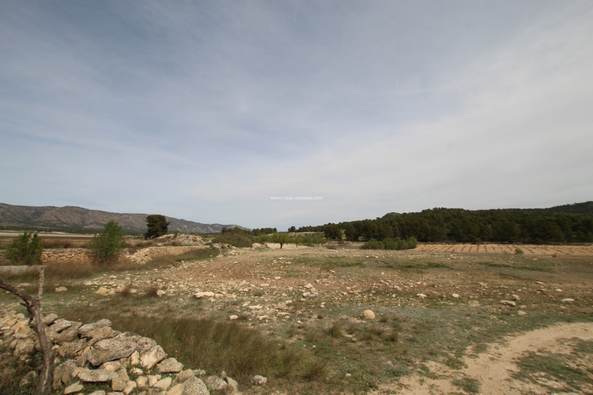 Revente - Country Property/Finca - Monóvar - Inland