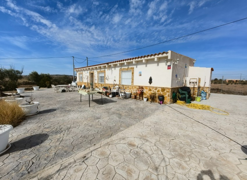 Revente - Country Property/Finca - Pinoso - Inland