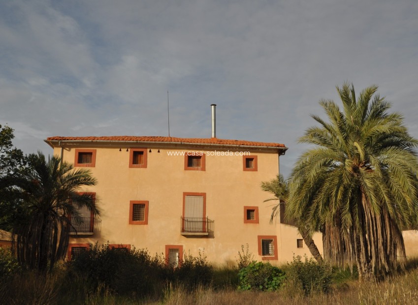 Revente - Country Property/Finca - Pinoso - Inland